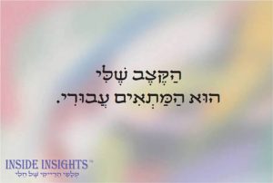 הקצב שלי הוא המתאים עבורי