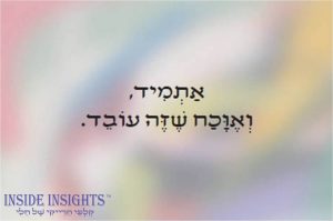 מסר מקלפי הרייקי - אתמיד, ואווכח שזה עובד